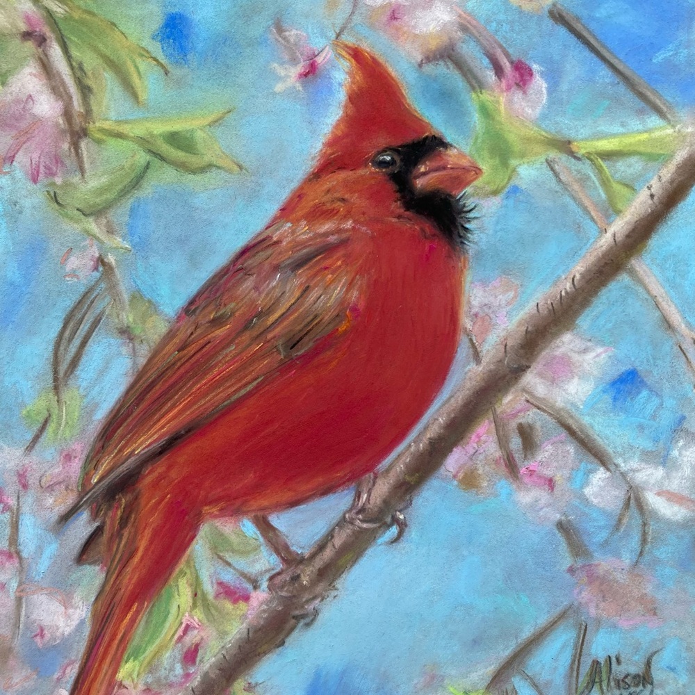 Cardinal in Cherry Tree Original Pastel Handmade Painting